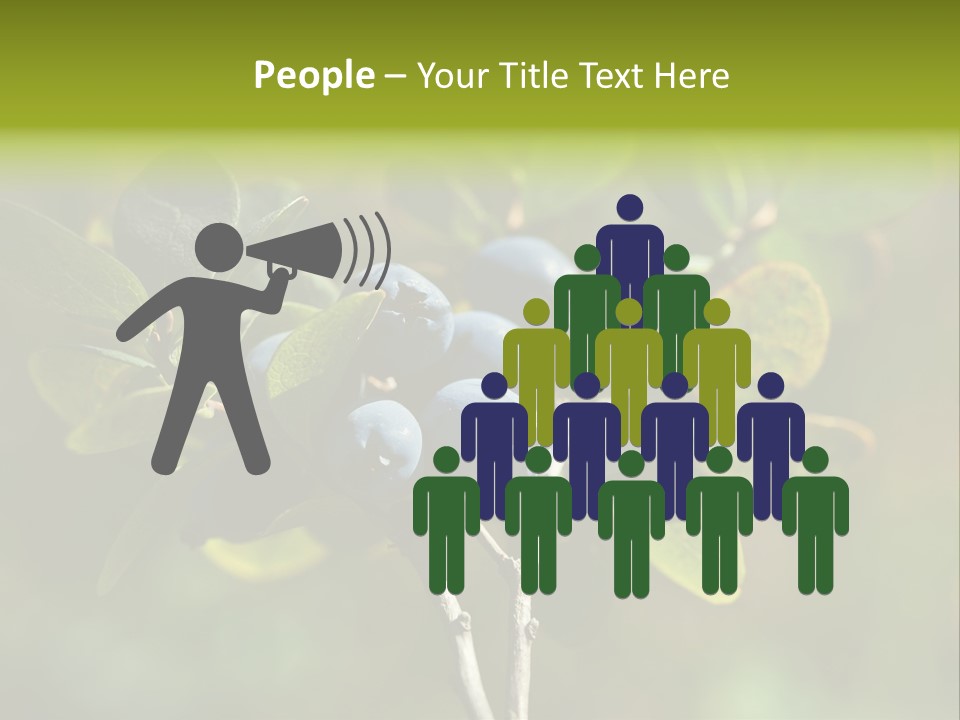 Blueberry PowerPoint Template