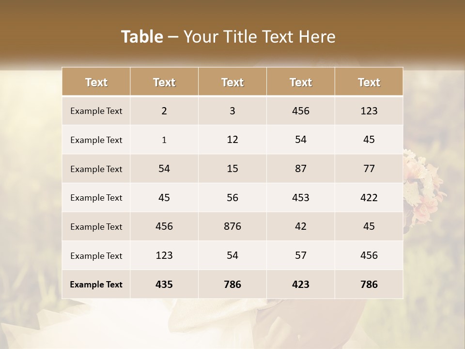 The Bride And Groom Kiss PowerPoint Template