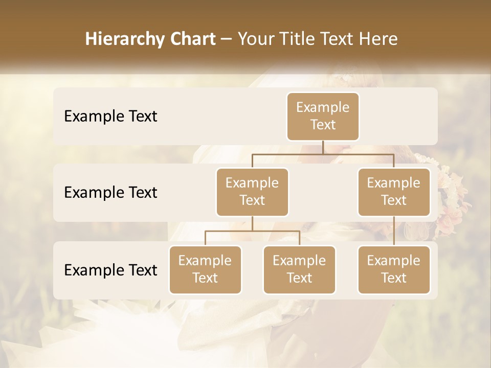 The Bride And Groom Kiss PowerPoint Template