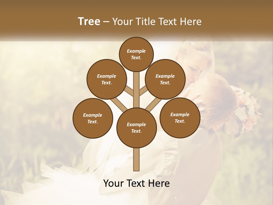 The Bride And Groom Kiss PowerPoint Template