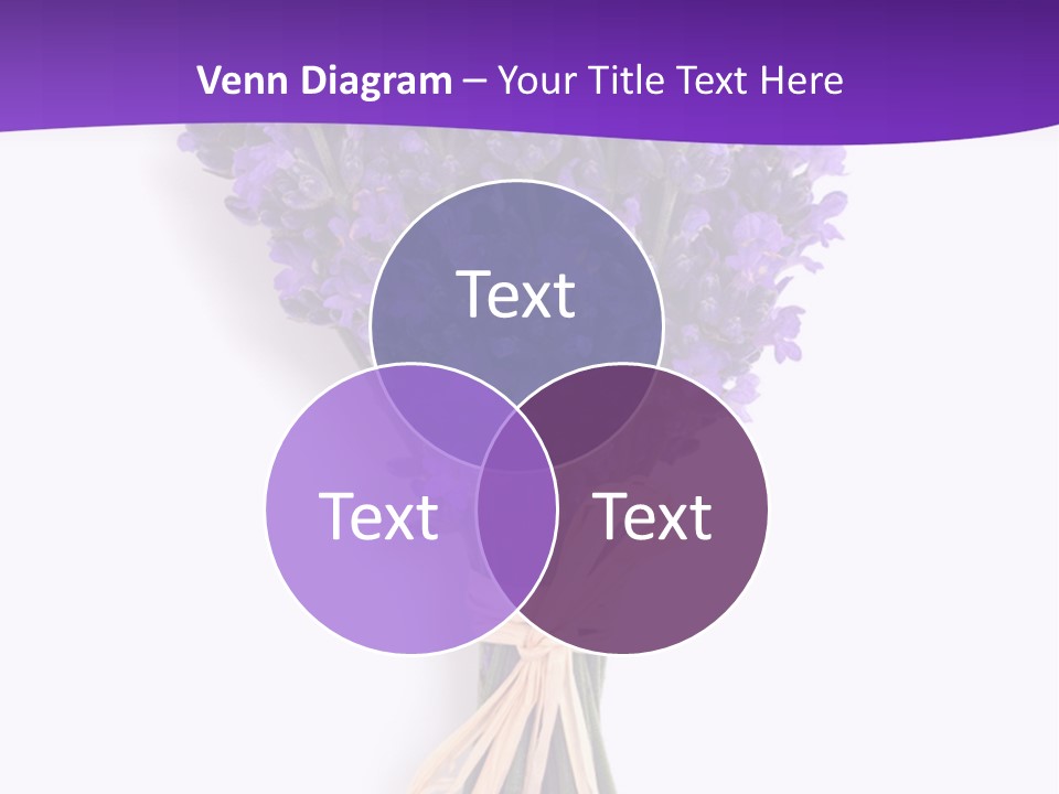 A Bouquet Of Lavender PowerPoint Template