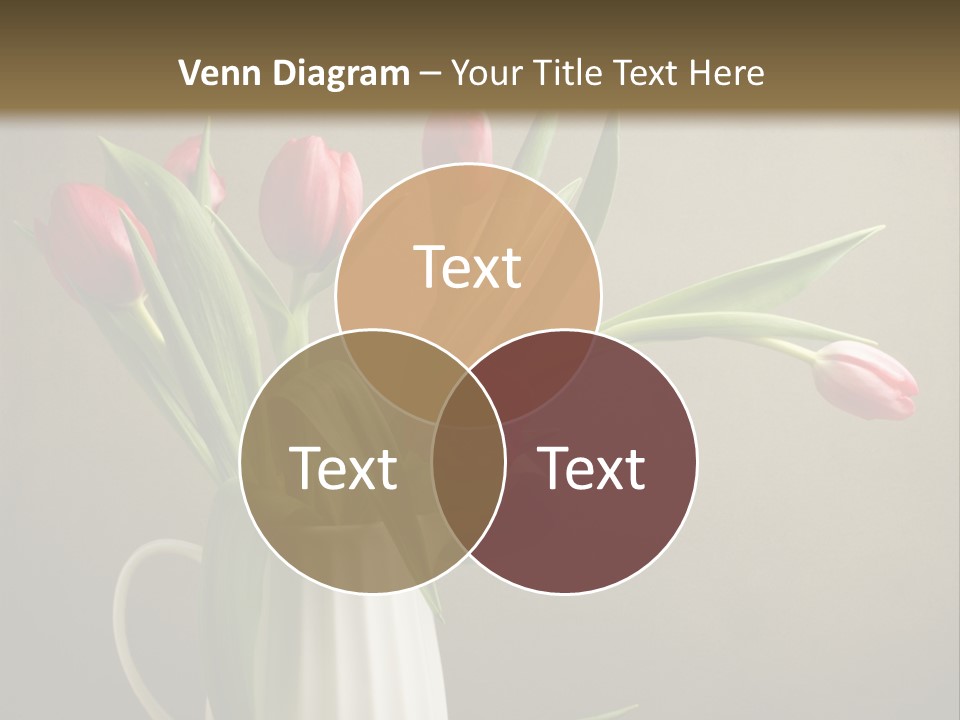 Tulips In A Vase PowerPoint Template