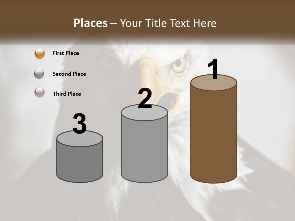 American Eagle PowerPoint Template