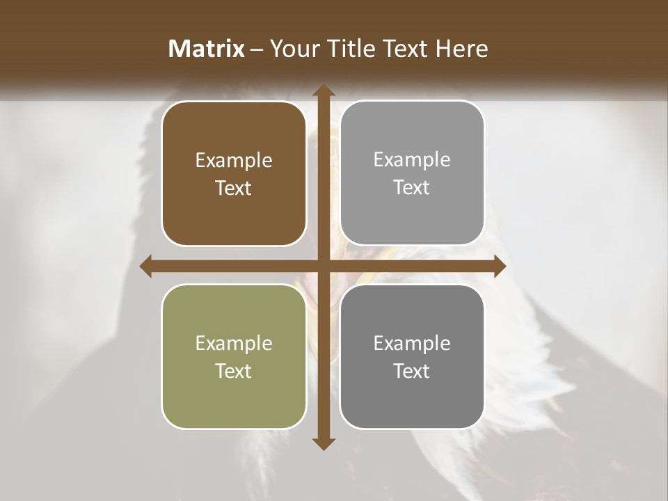 American Eagle PowerPoint Template