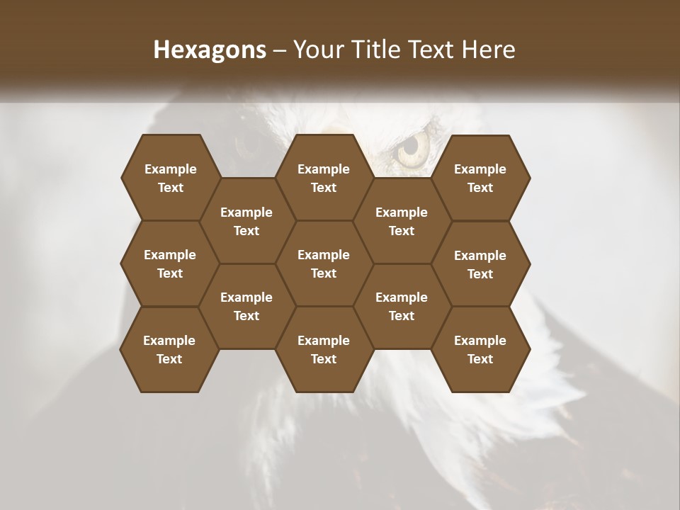 American Eagle PowerPoint Template