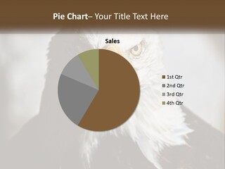 American Eagle PowerPoint Template