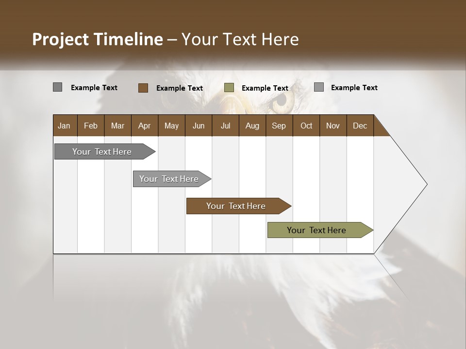 American Eagle PowerPoint Template