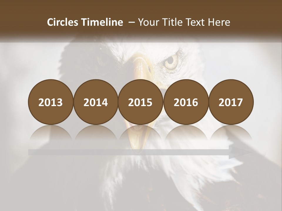 American Eagle PowerPoint Template