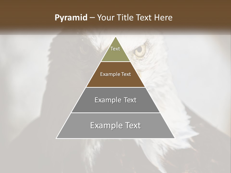 American Eagle PowerPoint Template