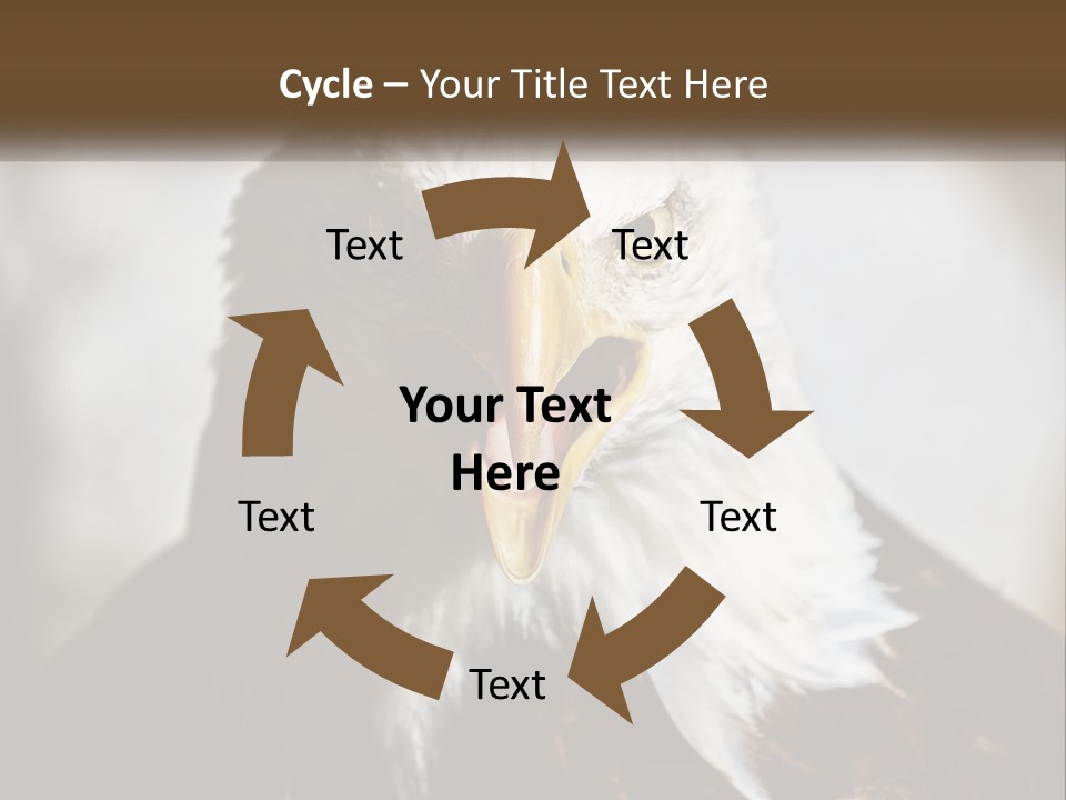 American Eagle PowerPoint Template
