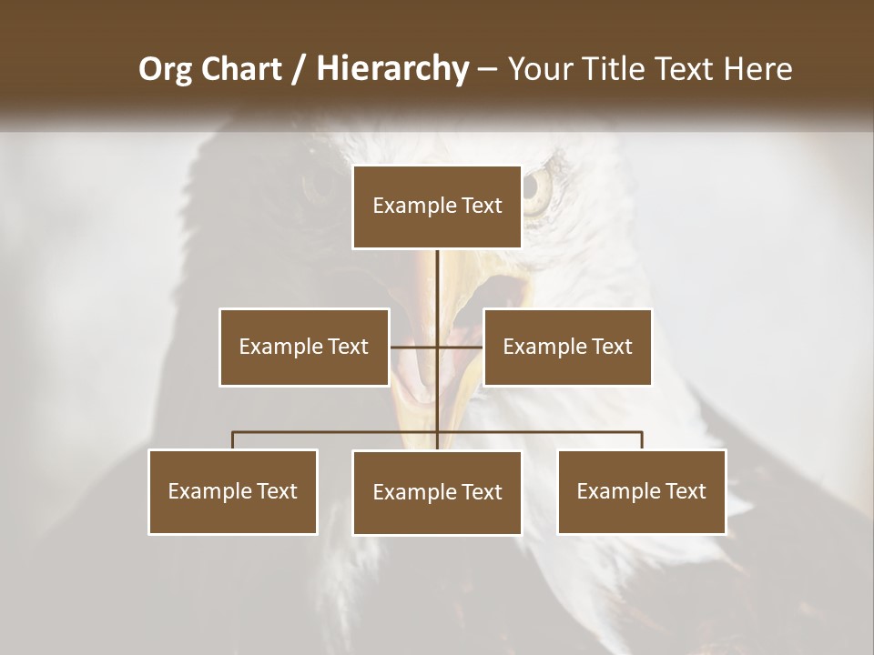 American Eagle PowerPoint Template