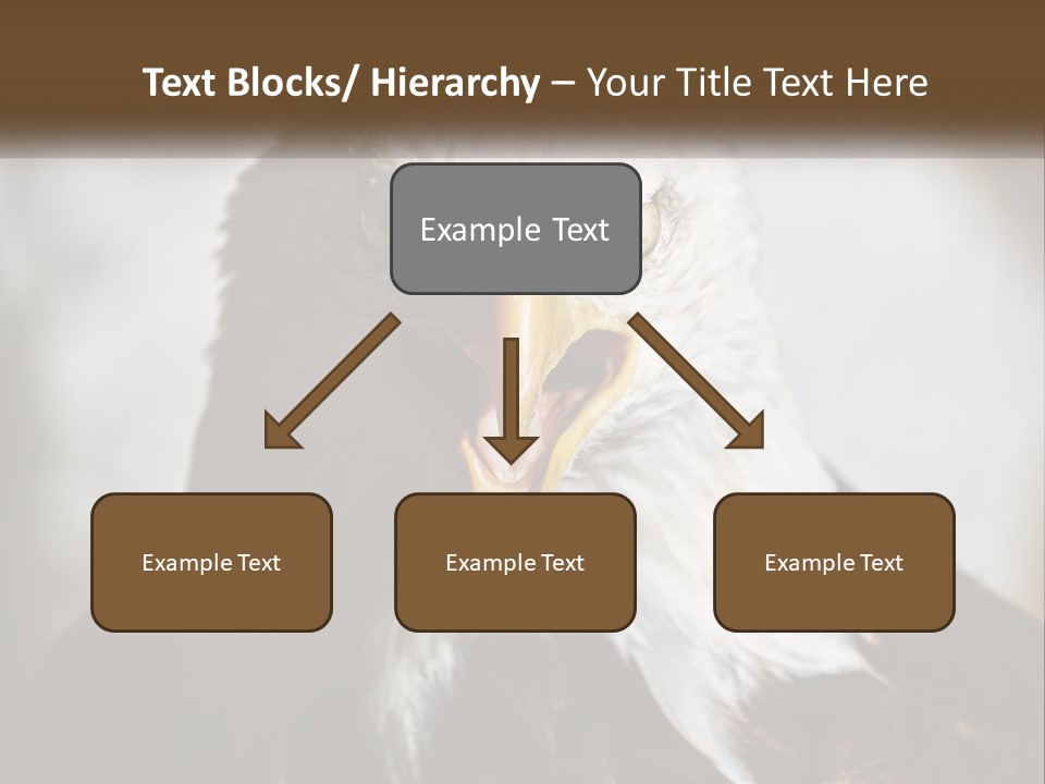 American Eagle PowerPoint Template