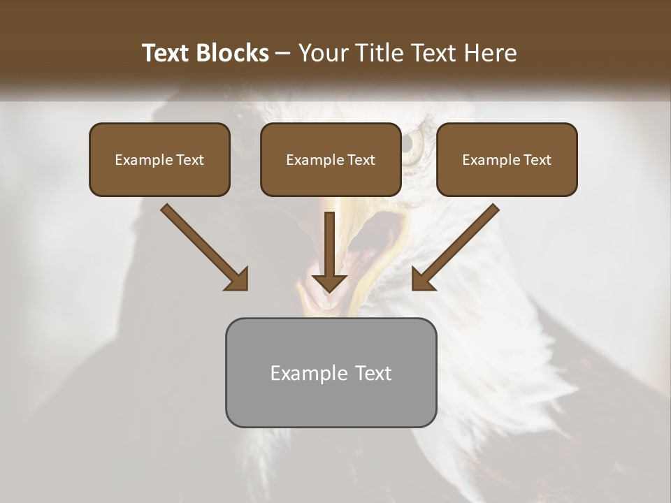 American Eagle PowerPoint Template
