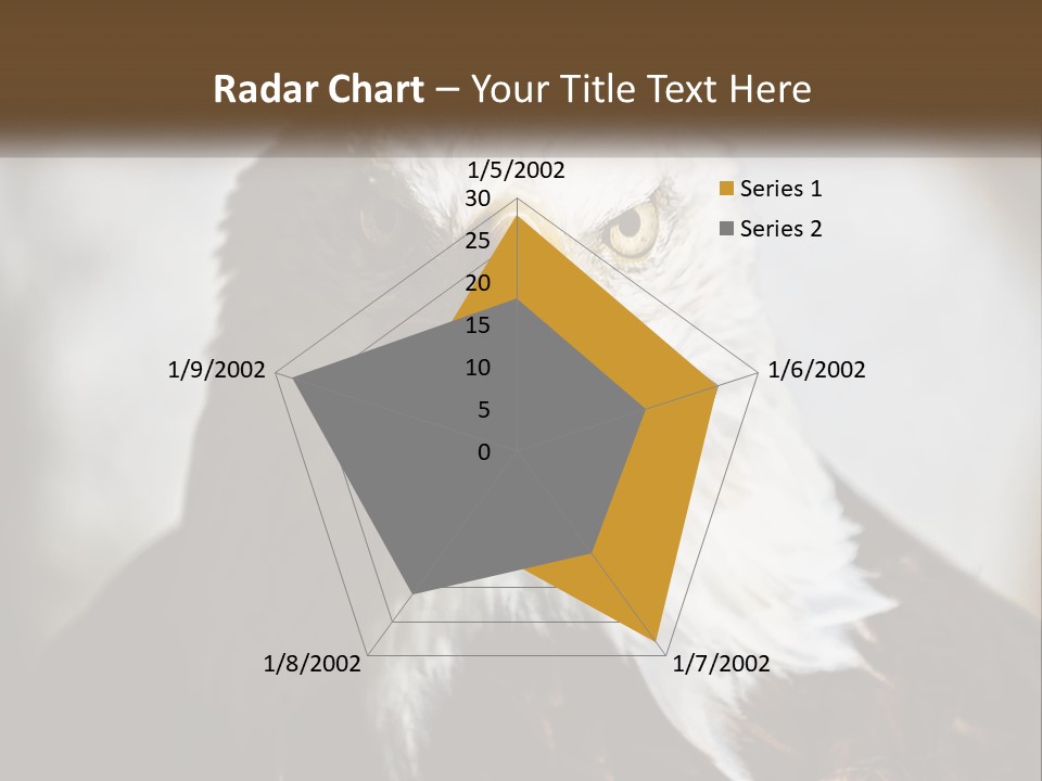 American Eagle PowerPoint Template