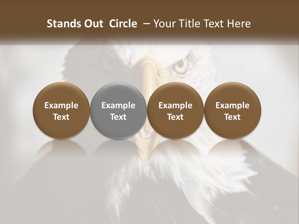 American Eagle PowerPoint Template