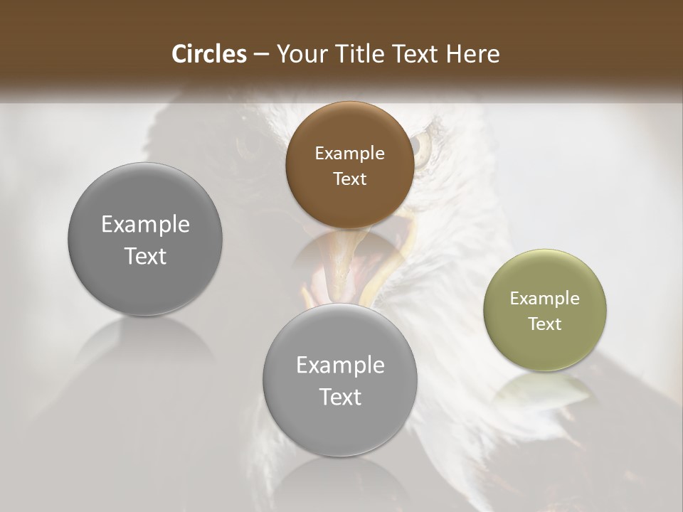 American Eagle PowerPoint Template
