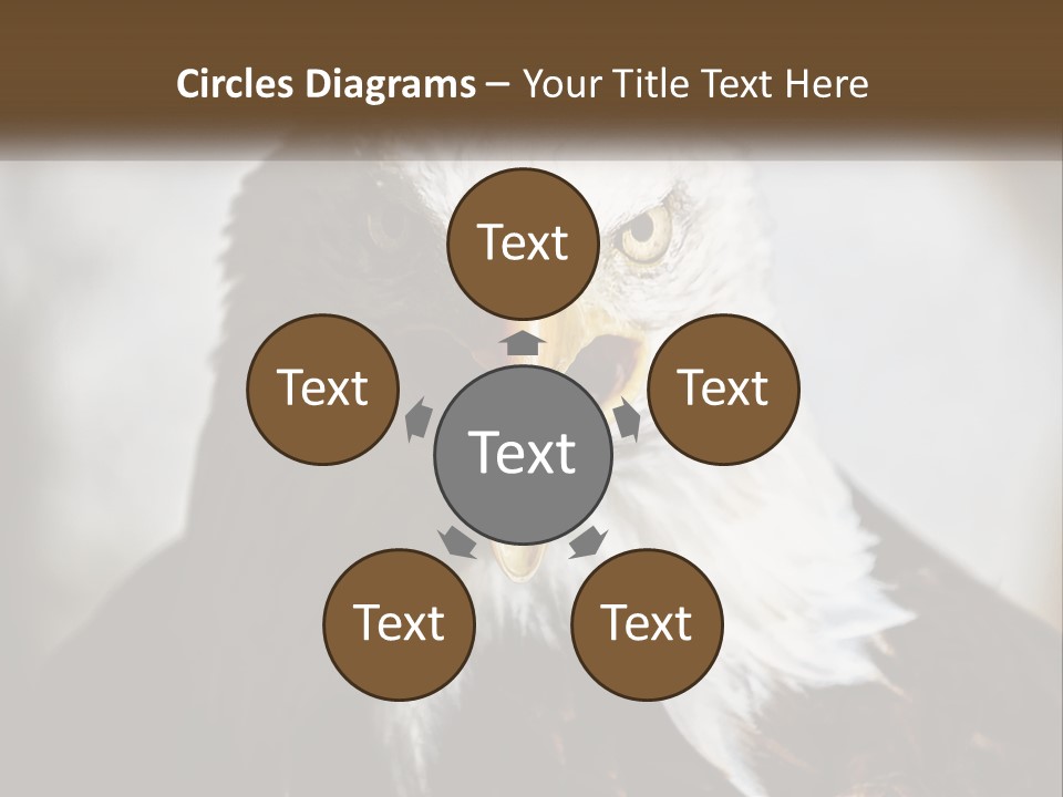 American Eagle PowerPoint Template