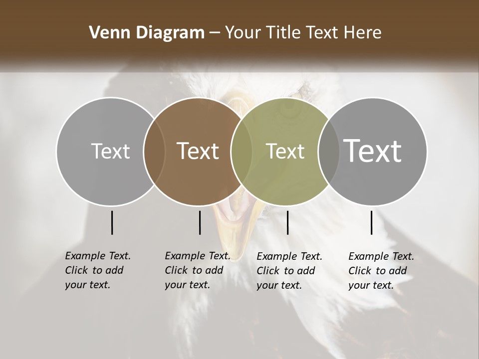 American Eagle PowerPoint Template