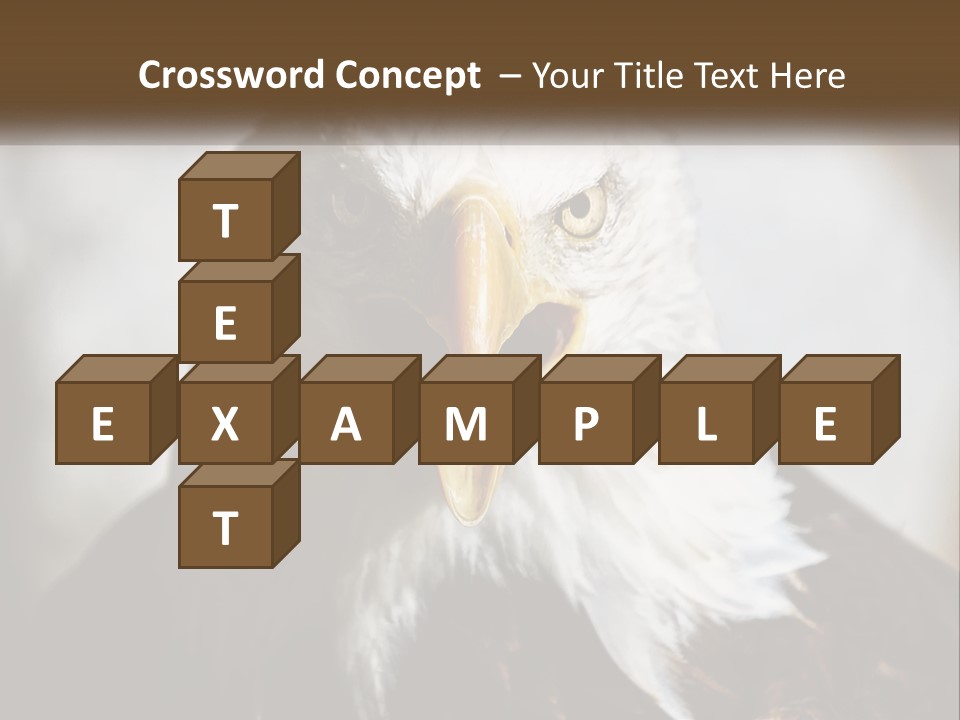 American Eagle PowerPoint Template