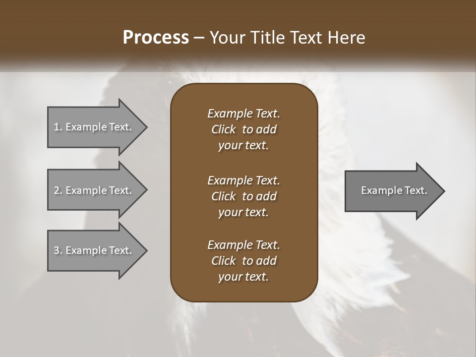 American Eagle PowerPoint Template