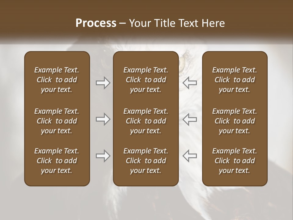American Eagle PowerPoint Template