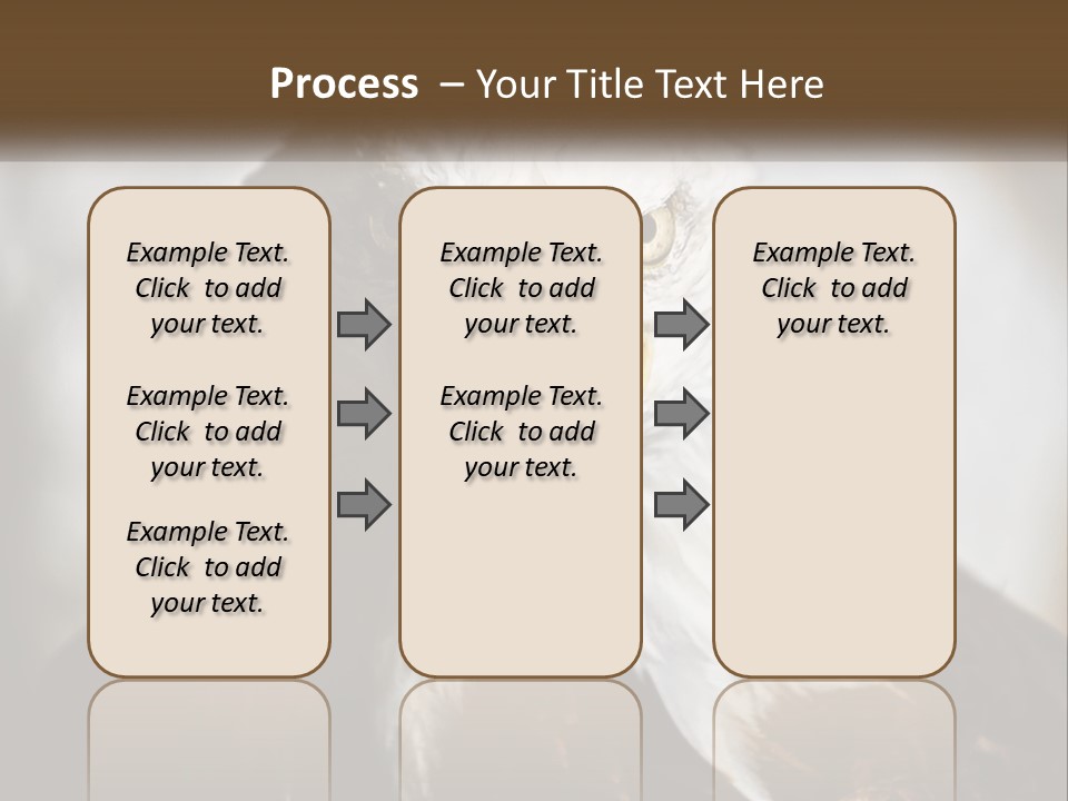 American Eagle PowerPoint Template