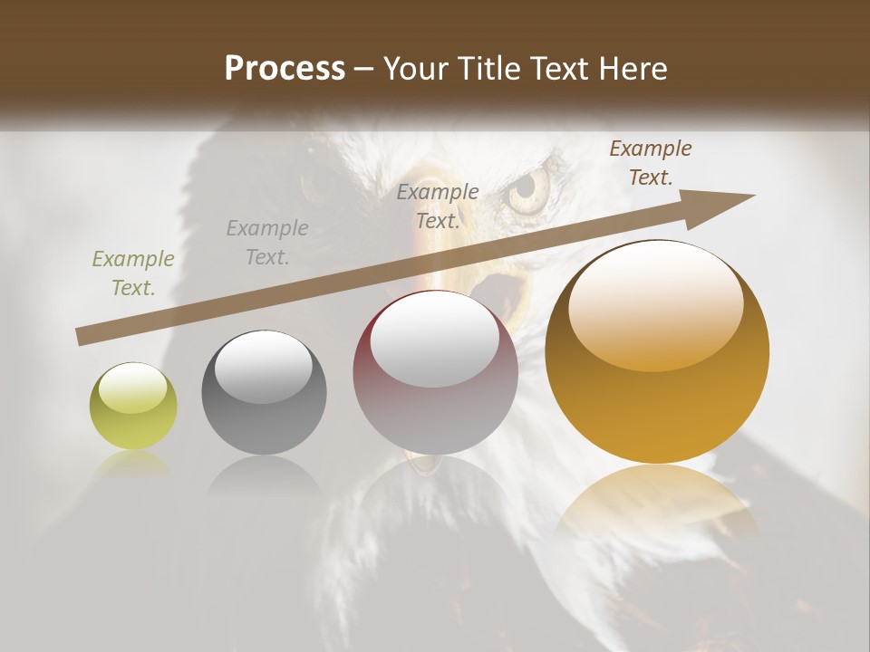 American Eagle PowerPoint Template