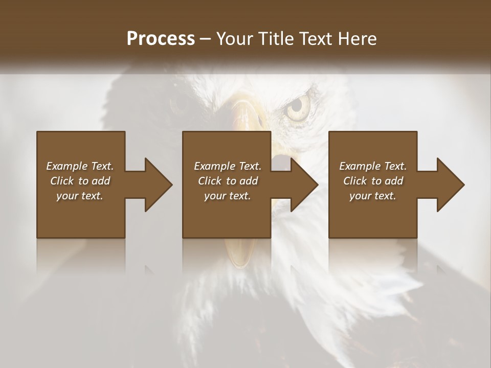 American Eagle PowerPoint Template