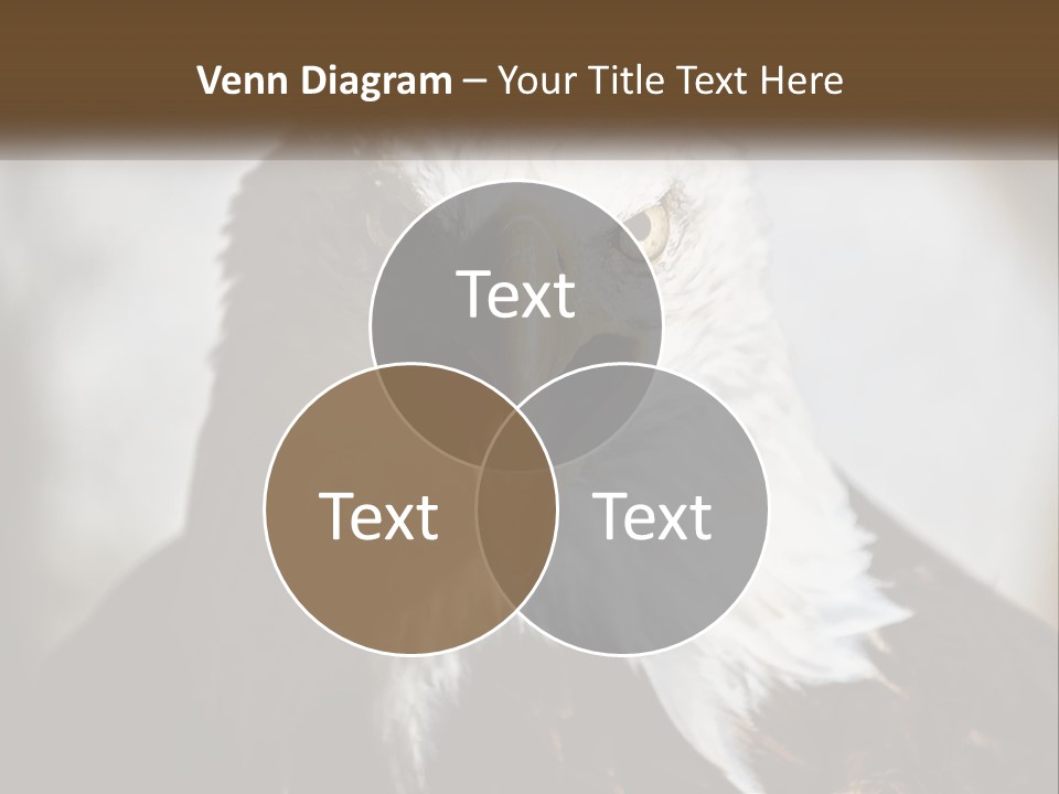 American Eagle PowerPoint Template