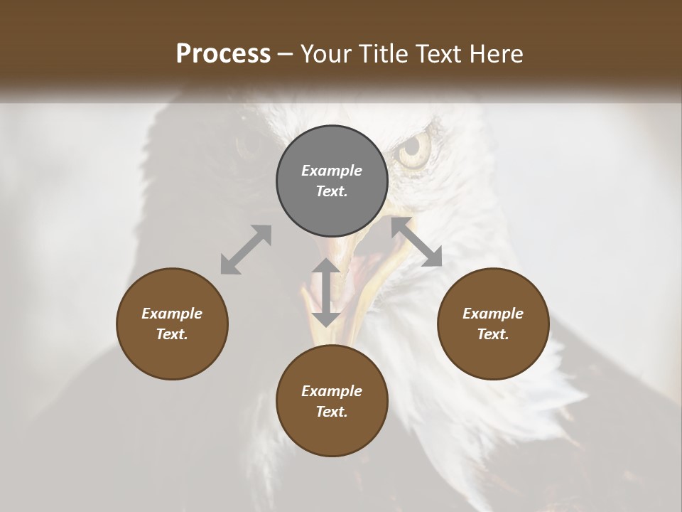American Eagle PowerPoint Template