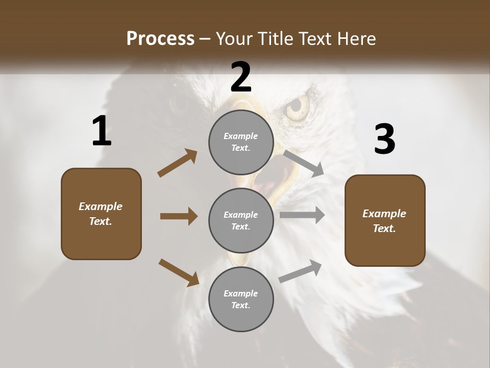 American Eagle PowerPoint Template