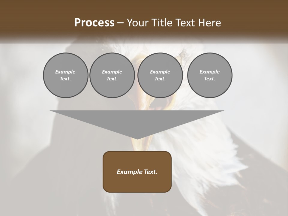 American Eagle PowerPoint Template