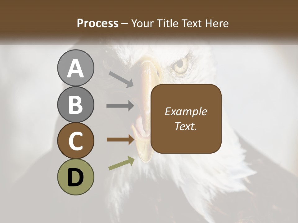 American Eagle PowerPoint Template