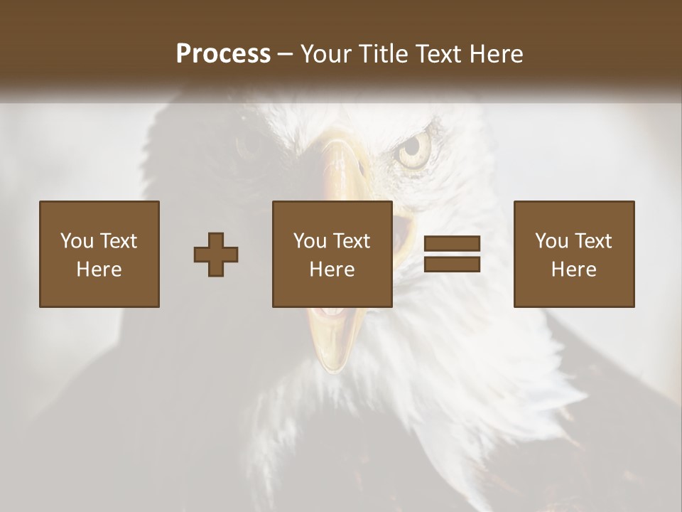 American Eagle PowerPoint Template