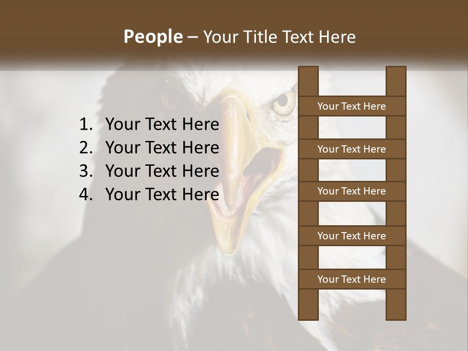 American Eagle PowerPoint Template