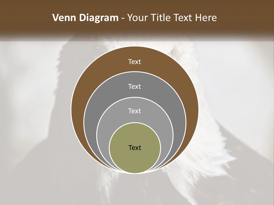 American Eagle PowerPoint Template