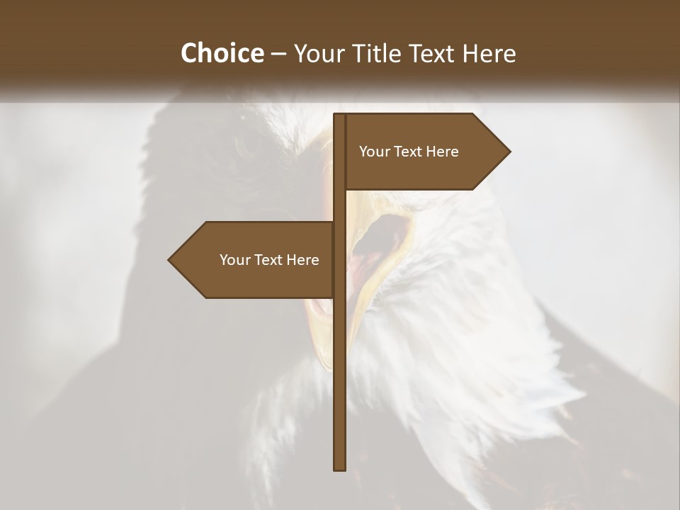 American Eagle PowerPoint Template