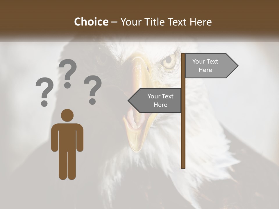 American Eagle PowerPoint Template