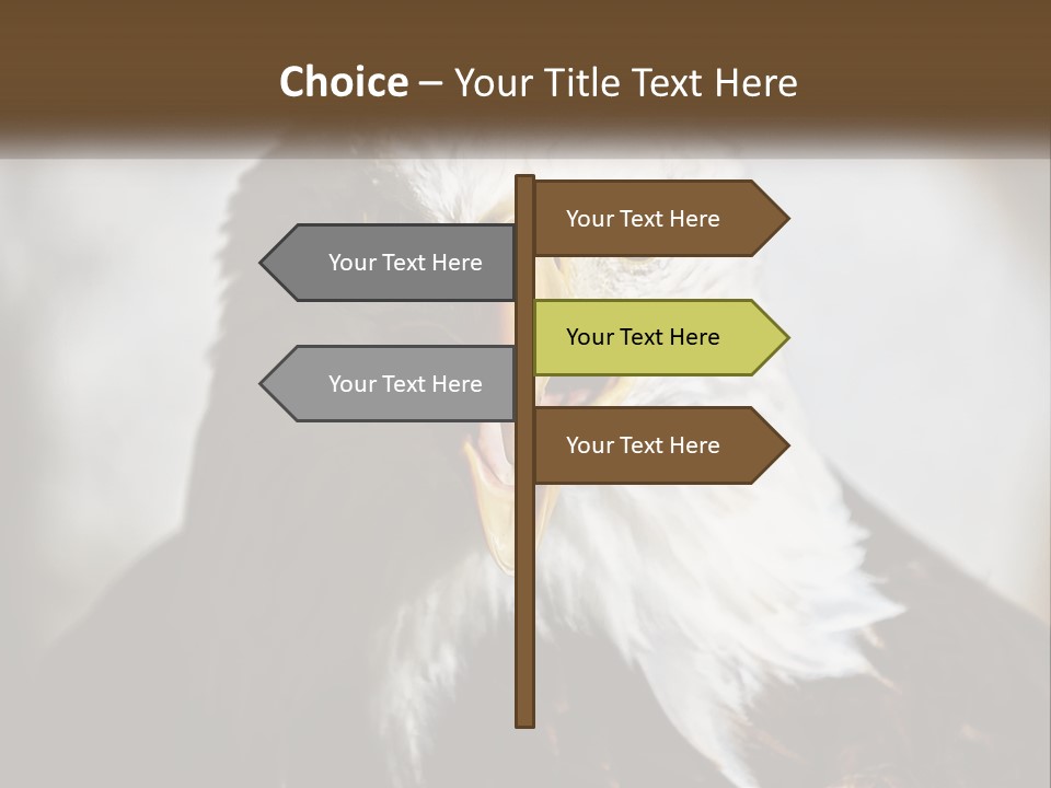 American Eagle PowerPoint Template