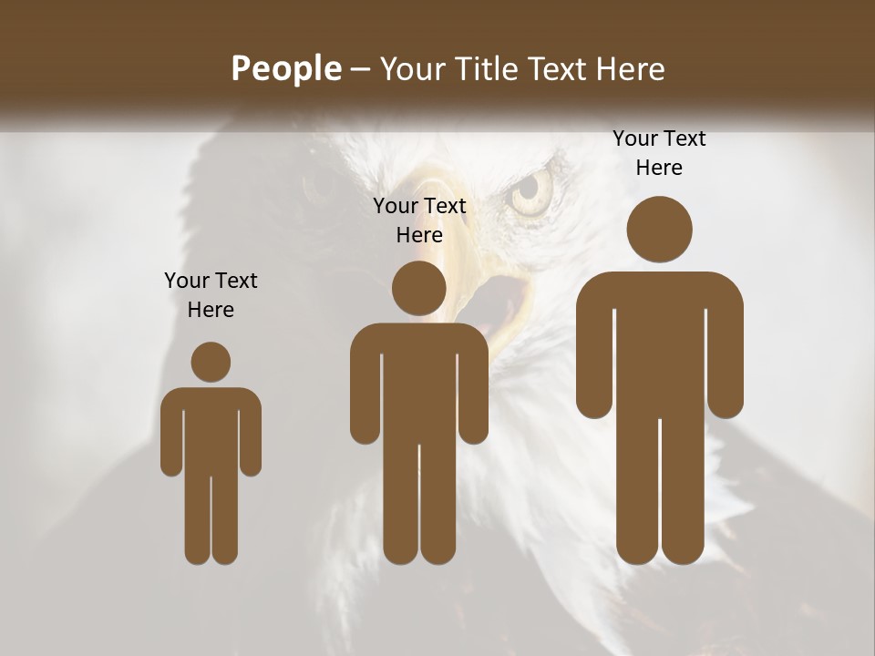 American Eagle PowerPoint Template