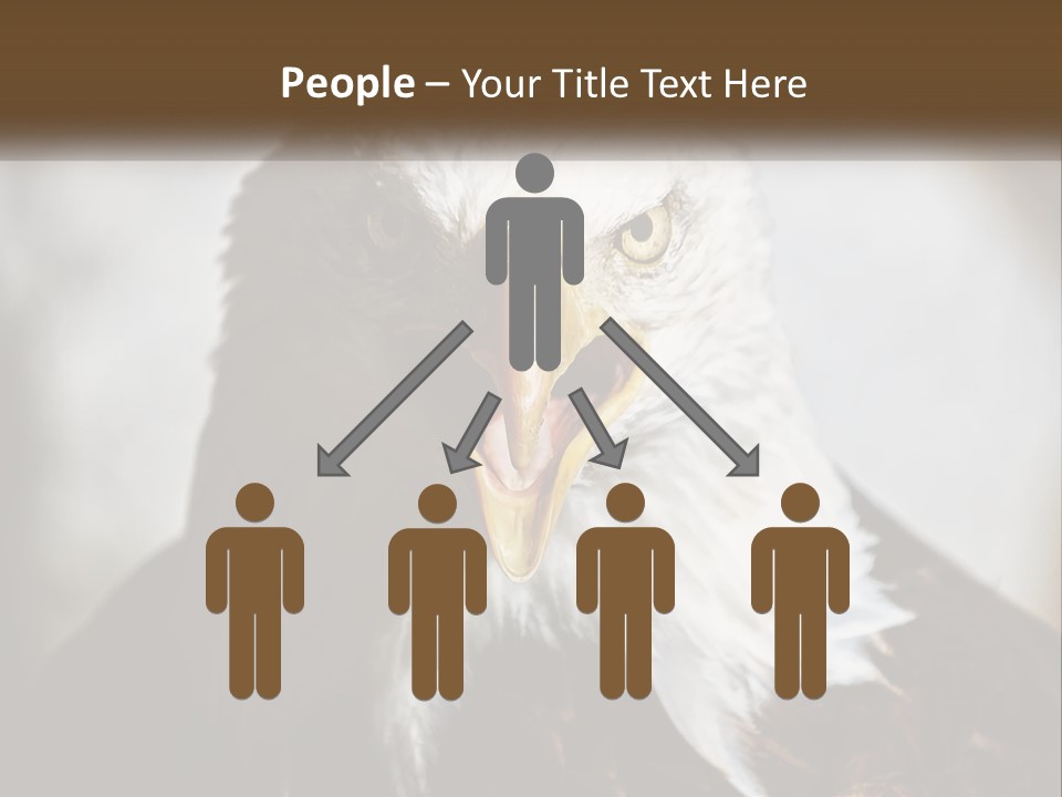 American Eagle PowerPoint Template