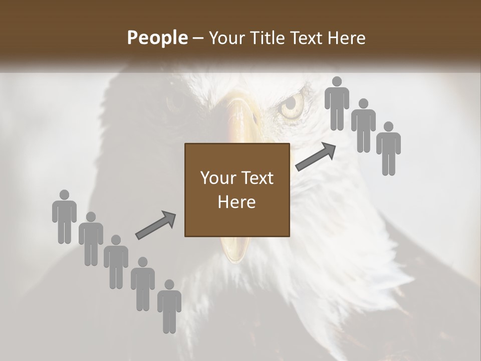 American Eagle PowerPoint Template