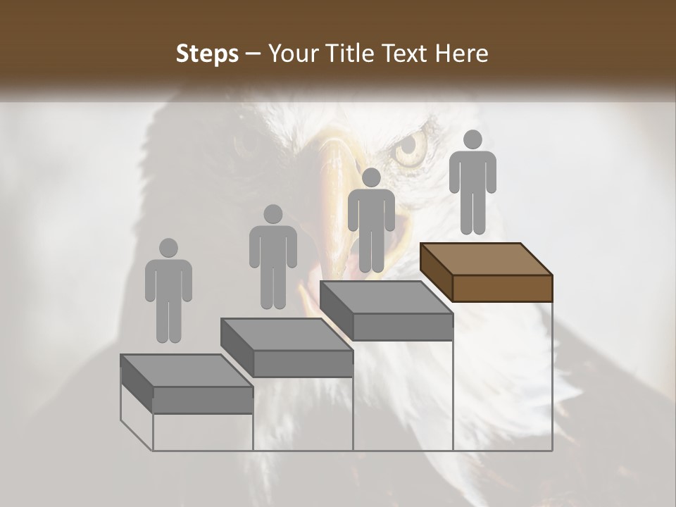 American Eagle PowerPoint Template