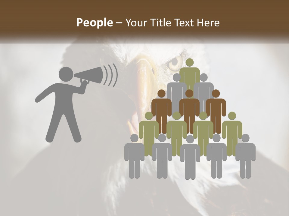 American Eagle PowerPoint Template