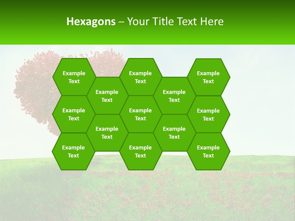 Tree In The Form Of Heart PowerPoint Template