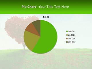 Tree In The Form Of Heart PowerPoint Template