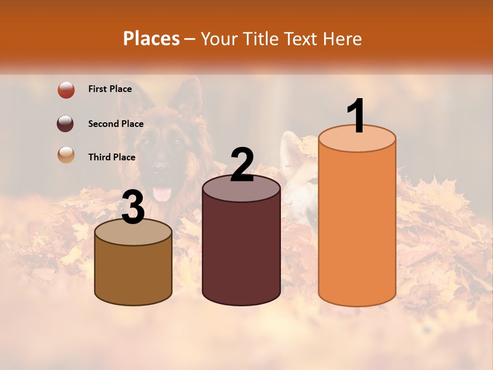 Dogs Play In Writing PowerPoint Template