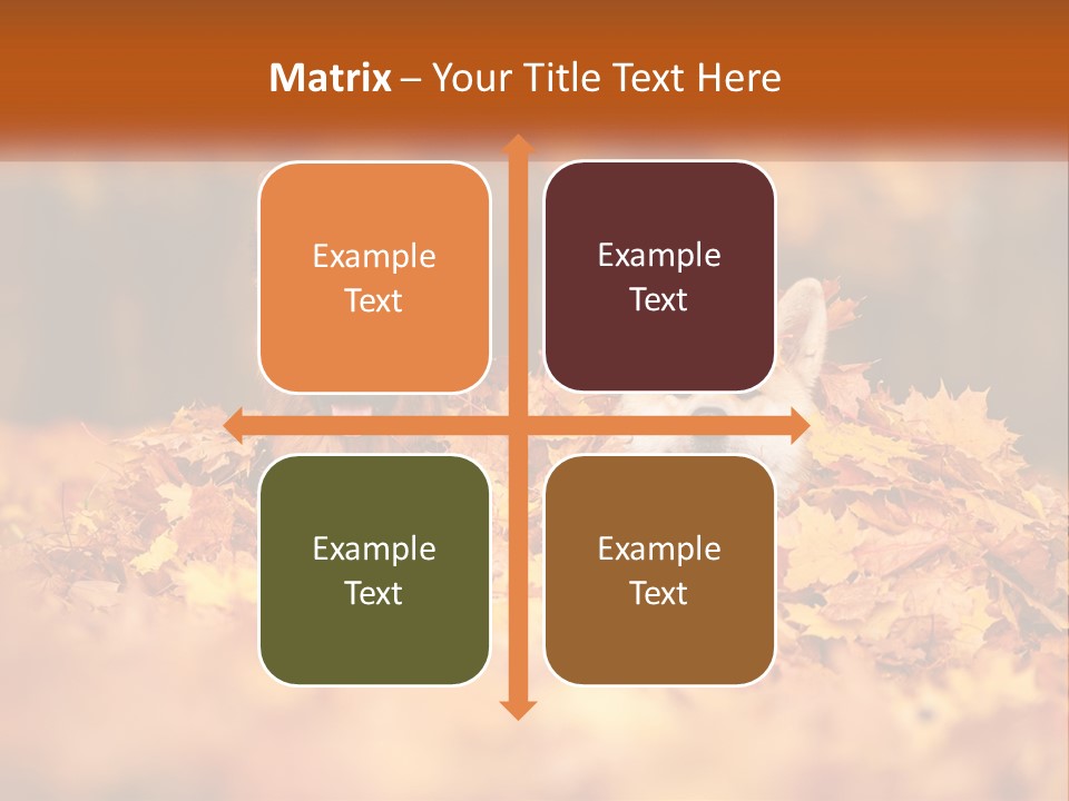 Dogs Play In Writing PowerPoint Template