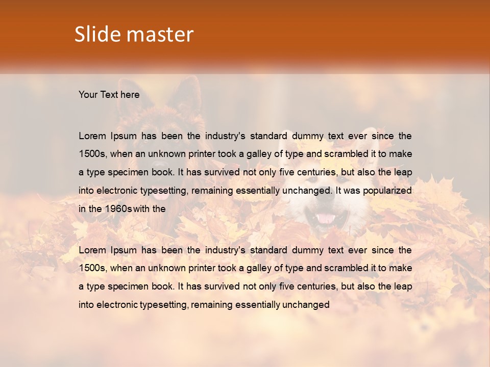 Dogs Play In Writing PowerPoint Template