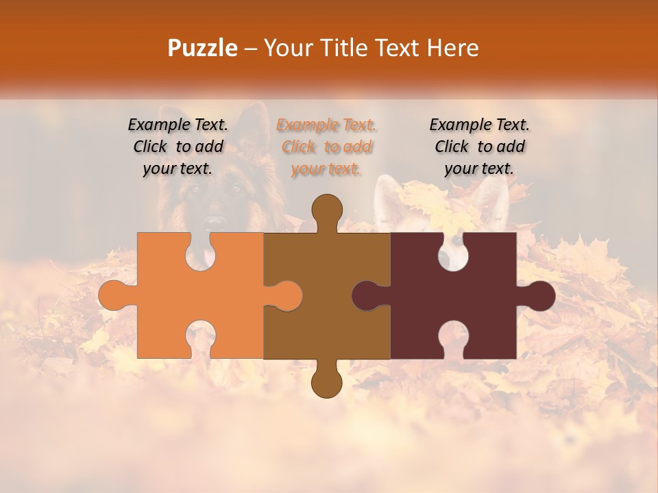 Dogs Play In Writing PowerPoint Template